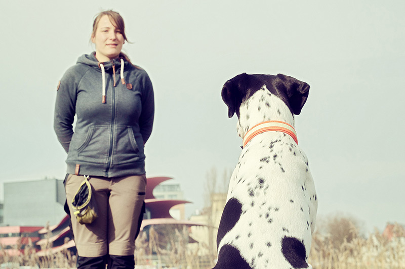 Hundewunder | Hundeschule in Potsdam | Hund | Grunderziehung, Welpenschule | Junghunde Hundewunder | Hundeschule in Potsdam | Hund | Grunderziehung, Welpenschule | Junghunde